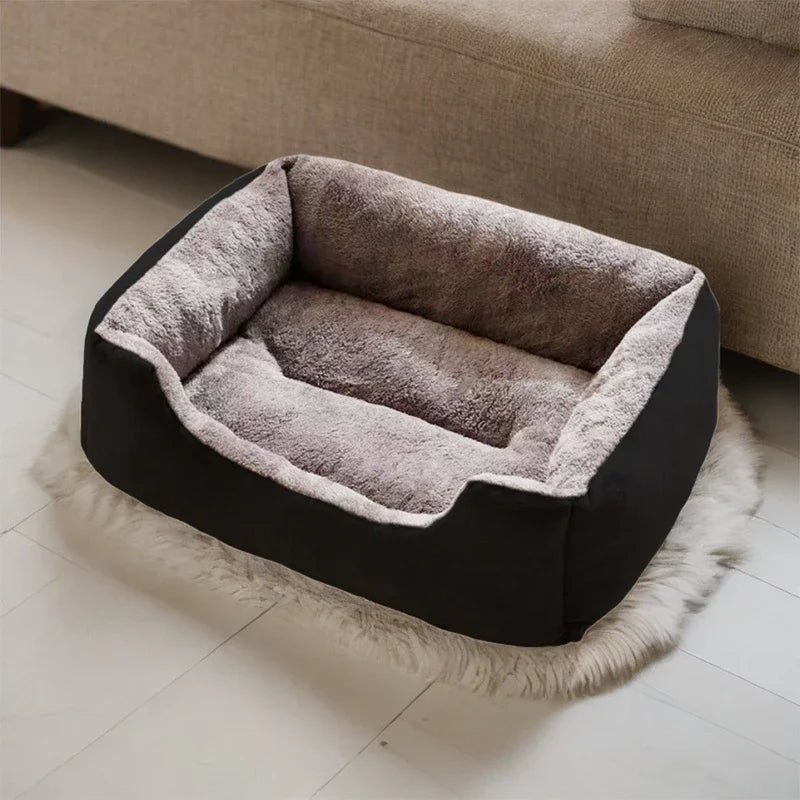 Cats Bed Dog Mat Beds Goods Pet Puppy Accessories All Products Kitten Cushions Things Accessory Houses Habitats House Supplies