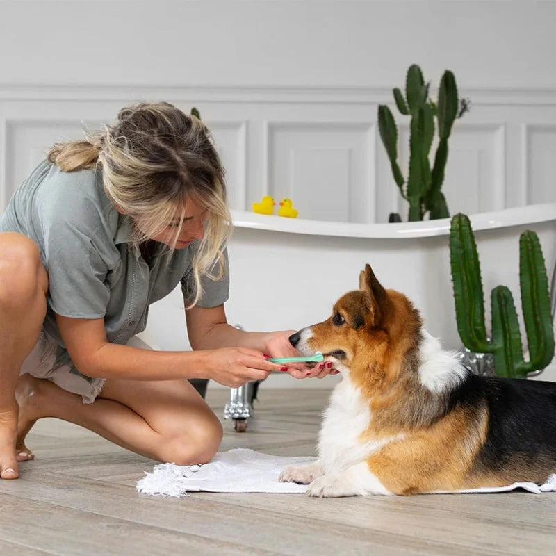Dog Toothbrush Dog Teeth Cleaning Small Head Brush for Dogs Teeth Mouth Cleaning Tools Pet Grooming Cat Toothbrush Pet Products