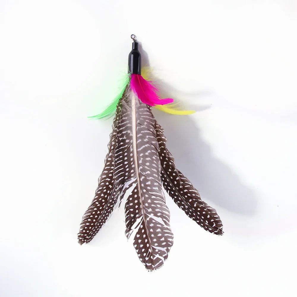 Retractable Pet Cat Caterpillar Feather Replacement Head Toy Set Funny Cat Stick Fishing Rod Cat Toys Interactive Pet Products