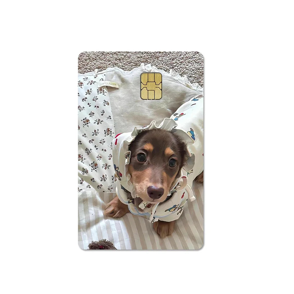 Cute Pet Puppy Kitten Lamb Credit Debit Card Sticker Bread Dog Bus Pass DIY Waterproof Small Chip Film Sticker Decoration Gift