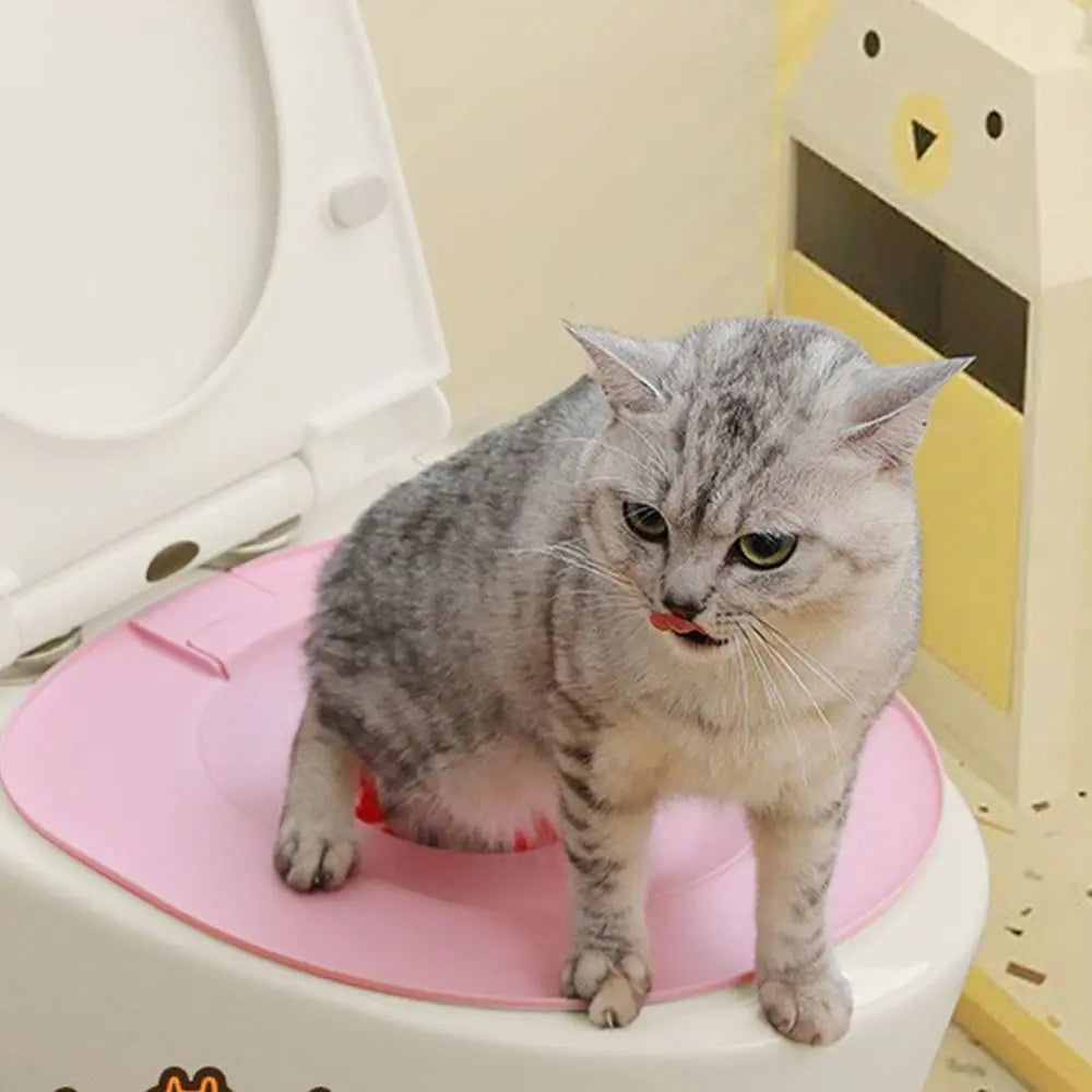 Best Plastic Cat Toilet Training Kit Reusable Puppy Cat Litter Mat Cat Toilet Trainer Toilet Pets Cleaning Cats Training Product