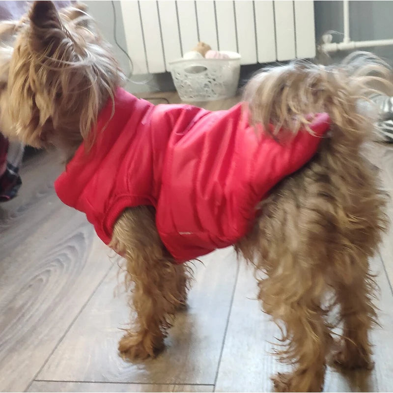 Dog Jackets Winter French Bulldog Small Dog Coat Clothes For York Coat For Little Dog Hoodie For Chihuahua Pet Products Leash