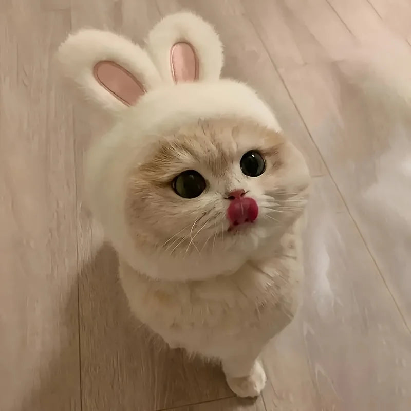 1pc Bunny Ears Cat Hat Themed Pet Costume Knit Fabric Set Comfortable Polyester Pullover Headwear for Cats & Small Dogs