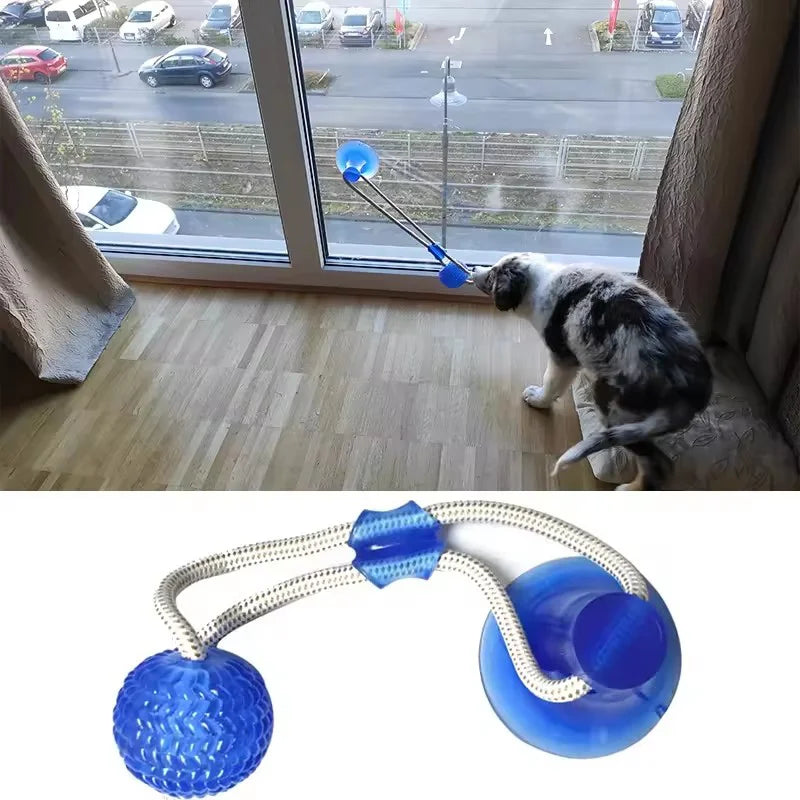 Dog Toy Ball Interactive Suction Cup Push TPR Ball Toys Molar Bite Toy Elastic Ropes Dog Tooth Cleaning Self Play Chewing Supply
