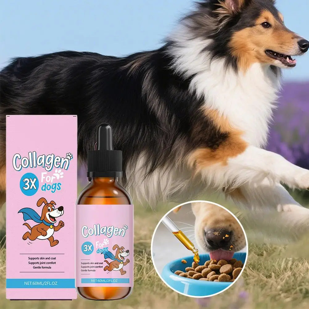 60ml Winter Dog Hair Care Product Liquid Collagen For Repair Intestines And Improve Health Of The Digestive System For Pet