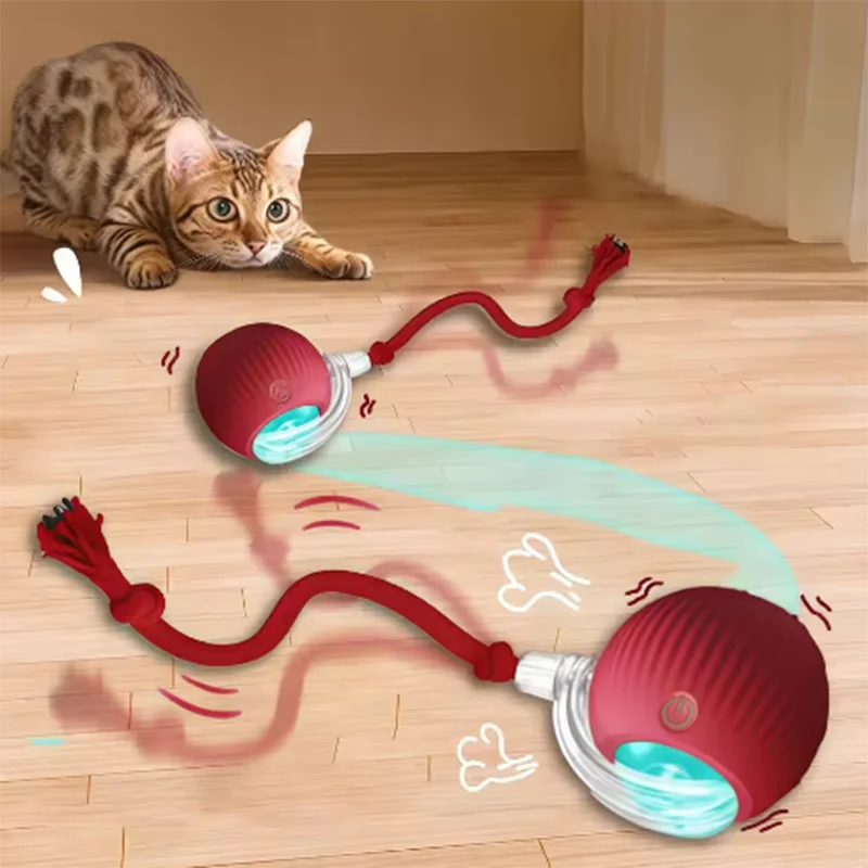 Hot cat toys are automatically teasing cat balls and self-exciting cat sticks and ticks and resistant to wear and bite pet toys