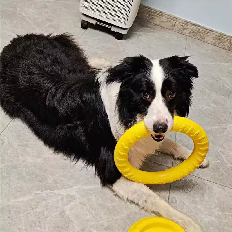 Dog Toy Bite Resistant Circular Frisbee Pet Toy Outdoor Dog Training Rope Toy Ball Grinding Teeth Pet Products Interactive Toy