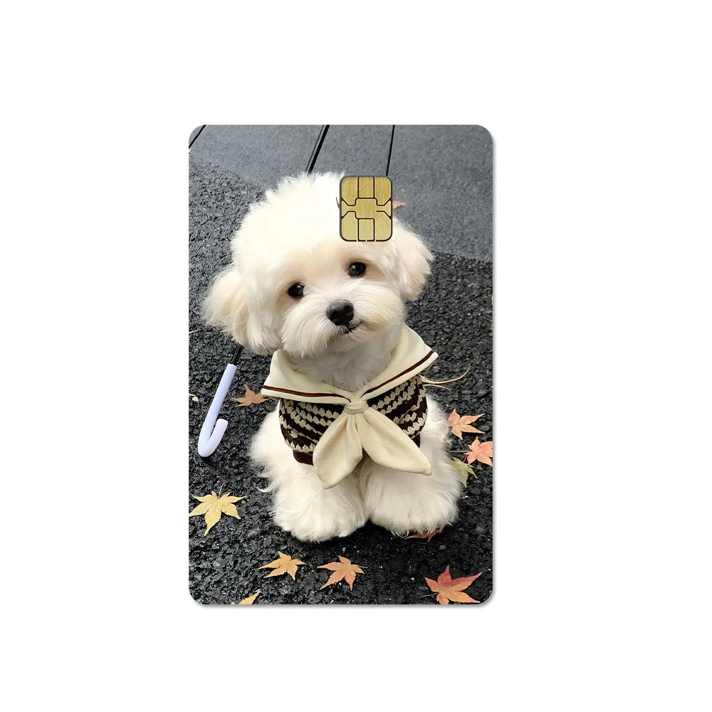 Cute Pet Puppy Kitten Lamb Credit Debit Card Sticker Bread Dog Bus Pass DIY Waterproof Small Chip Film Sticker Decoration Gift