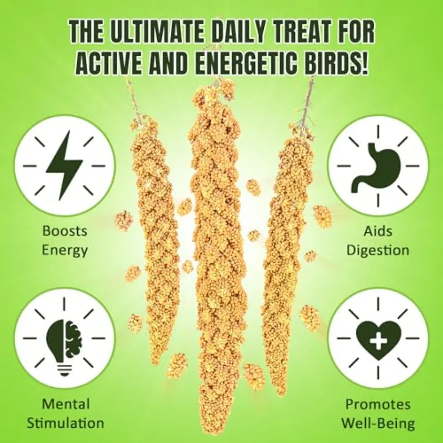 Bird Spray Millet for Parakeets Finches Canaries Budgies Small Birds, Sun-Dried Vacuum-Sealed Freshness, Yellow Brown Color