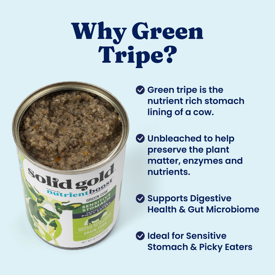 Solid Gold NutrientBoost Grain Free Green Beef Tripe Dog Pate (13.2oz)