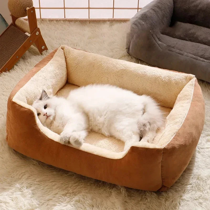 Cats Bed Dog Mat Beds Goods Pet Puppy Accessories All Products Kitten Cushions Things Accessory Houses Habitats House Supplies
