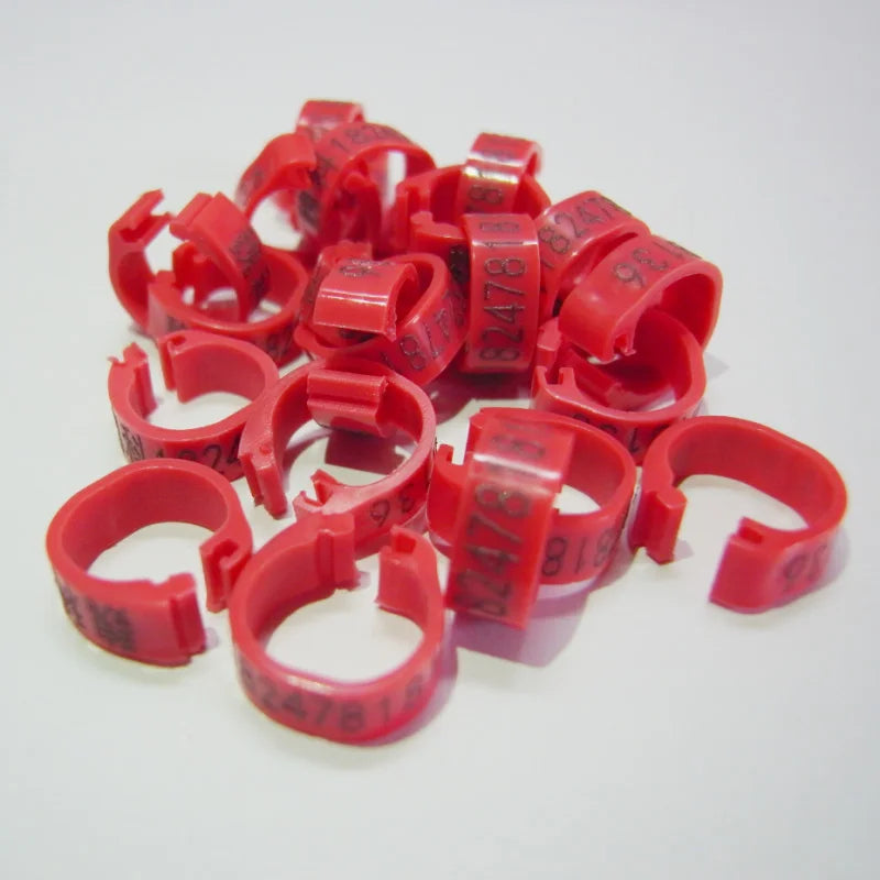 Customized Pigeon Leg bands Bird Products of pigeon pet pigeon rings bird rings pigeon bands
