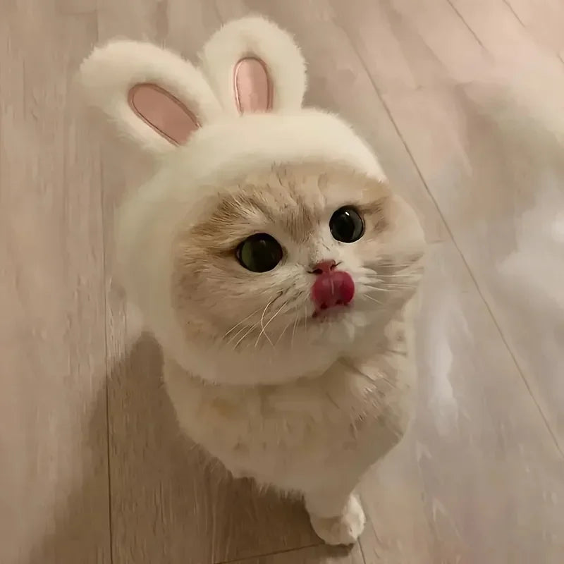 1Pc Bunny Ears Cat Hat, Polyester Knit Pet Headwear Costume, Stretchy Cap for Cats Small Dogs, Easter Birthday Photo Prop