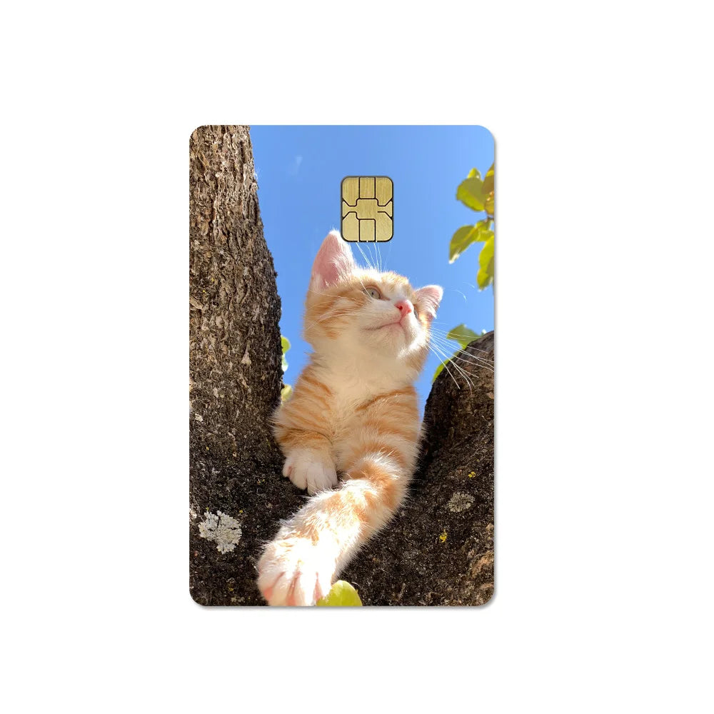 Cute Pet Puppy Kitten Lamb Credit Debit Card Sticker Bread Dog Bus Pass DIY Waterproof Small Chip Film Sticker Decoration Gift