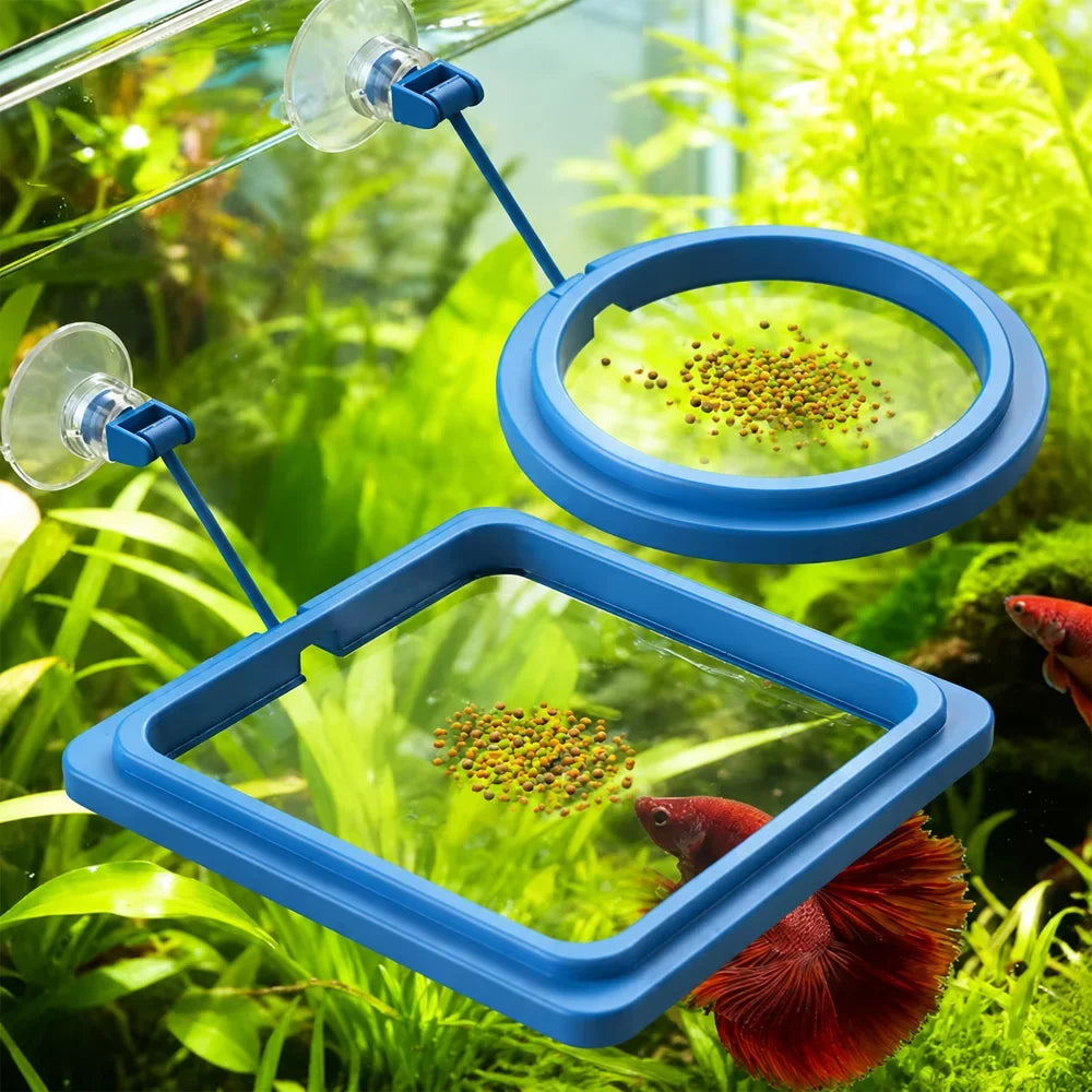 Betta Fish Food Floating Mini Pellets with Aquarium Feeding Ring Station Color Enhancer Tropical Fish Food Kit ZORILYNX