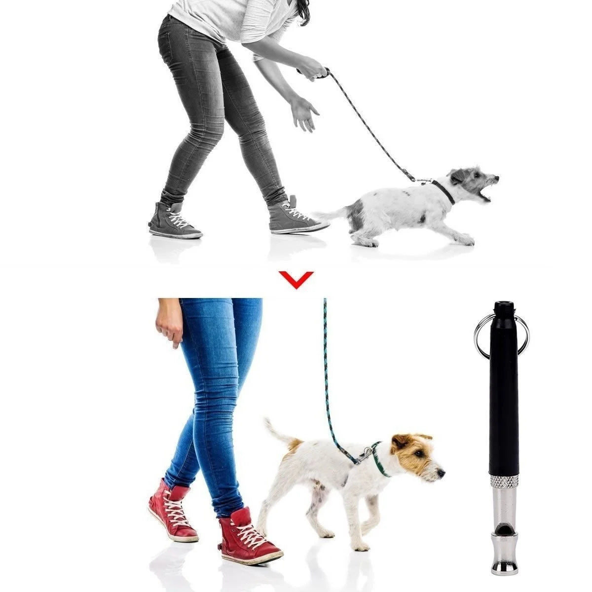 Ultrasonic Dog Training Whistle Multicolor Anti-Bark Stop Barking Deterrent Tool Pet Behavior Control Training Accessory for Dog