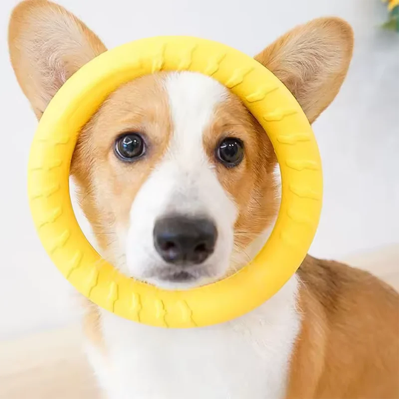 Dog Toy Bite Resistant Circular Frisbee Pet Toy Outdoor Dog Training Rope Toy Ball Grinding Teeth Pet Products Interactive Toy