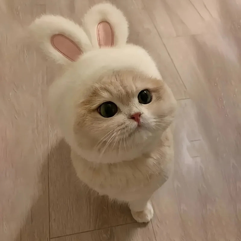 1pc Bunny Ears Cat Hat Themed Pet Costume Knit Fabric Set Comfortable Polyester Pullover Headwear for Cats & Small Dogs