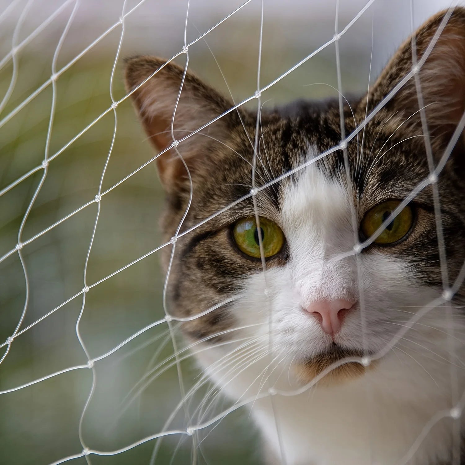 1set Different Sizes Transparent Cat Safety Net with Accessories for Balcony and Stairs - Prevents Pet Falls and Escapes