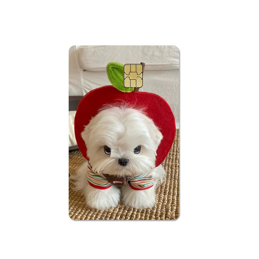 Cute Pet Puppy Kitten Lamb Credit Debit Card Sticker Bread Dog Bus Pass DIY Waterproof Small Chip Film Sticker Decoration Gift
