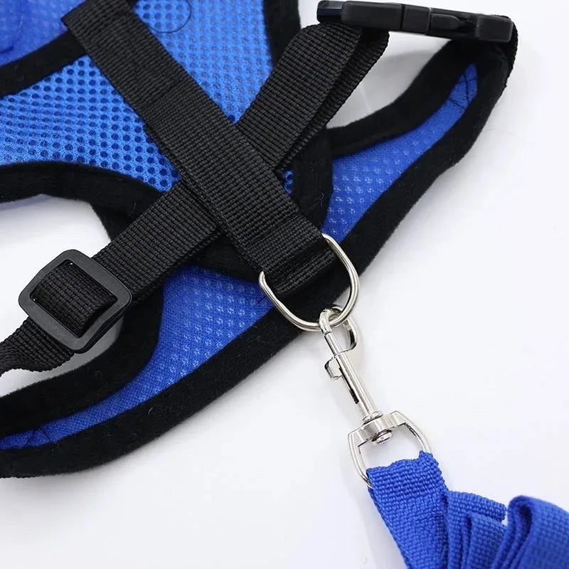 Cat Harness Vest Walking Lead Leash for Puppy Dogs Collar Polyester Adjustable Mesh Dog Harness for Small Medium Pet Accessories