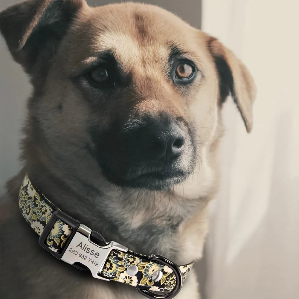 Personalized Dog Collar Free Engraved Name Custom Nameplate Collars for Small Medium Large Dogs Accessories Pet Product Pitbull