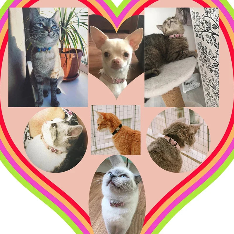 Heart Charm and Bell Cat Collar Safety Elastic Adjustable with Soft Velvet Material 8 Colors Pet Product Small Dog Collar Pet