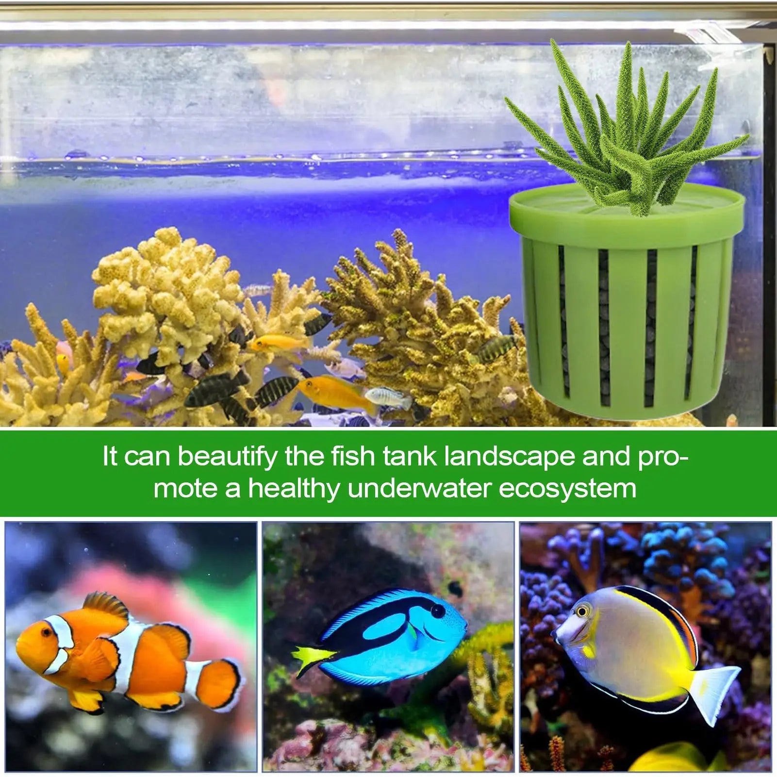 4pcs Pet Fish Tank Decorations Accessories Aquarium Plant Stand Stable Fish Tank Net Cup Hydroponic Plant Storage Fixed Basket