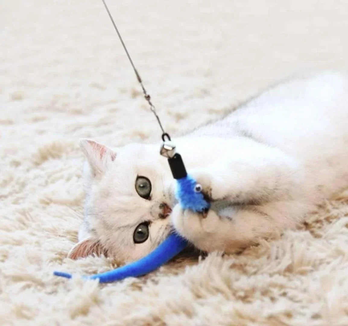 11Pcs Replacement Cat Feather Toy Set Feather Replacement Heads Fit Retractable Cat Wand Stick Pet Cat Supplies