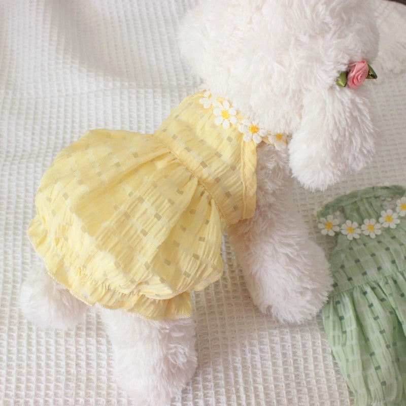 Pet Products Summer Floral Designer Dogs Fancy Dress Candy Green Tutu Skirt Mini Female Cat Clothes for Chihuahua Summer Puppy