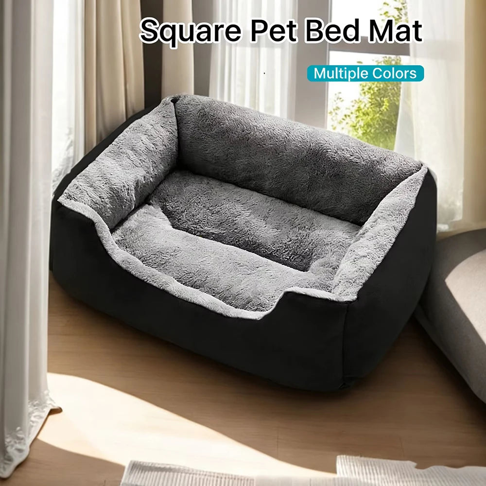 Bed for Cats Pet Products Cushions Kitten Goods Accessories Dog All Houses Supplies Things Accessory Habitats Basket House Beds