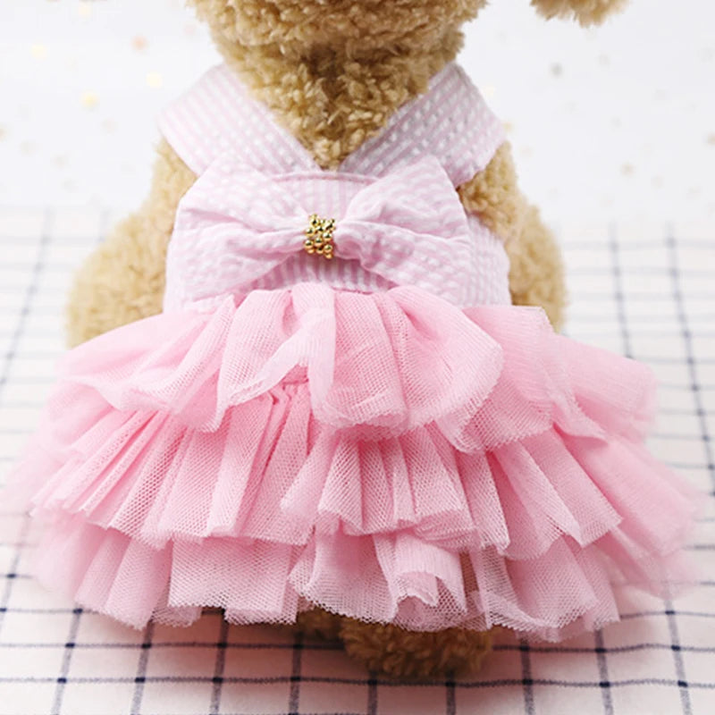 Dog Summer Dress Cat Lace Skirt Pet Clothing Chihuahua Stripe Skirt Puppy Cat Princess Apparel Cute Puppy Clothe Dog Accessories