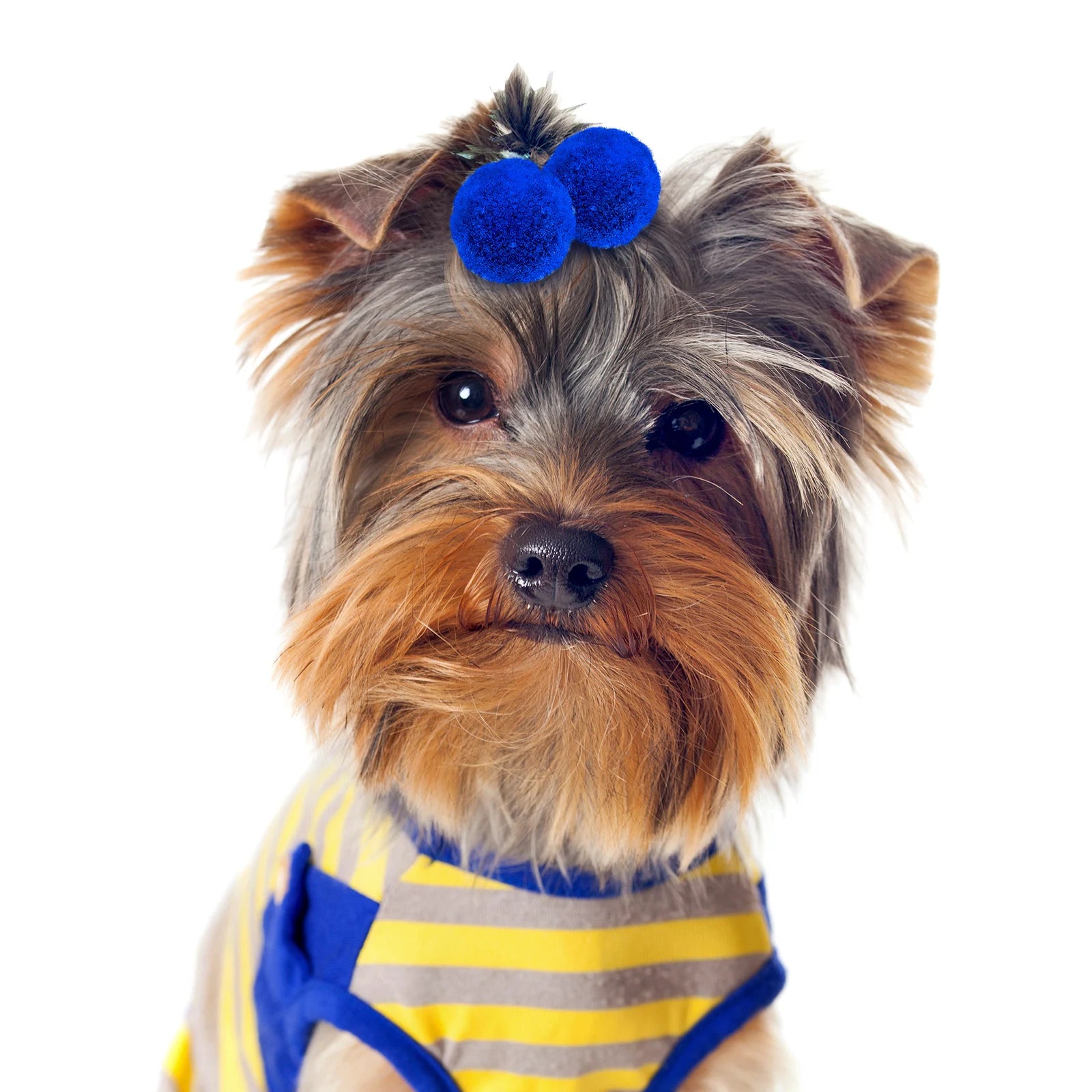 10/20/30PCS Ball Shape Dog Bows With Rubber Bands Plush Dog Hair Bows Colorful Puppy Bows Pet Product For Dogs