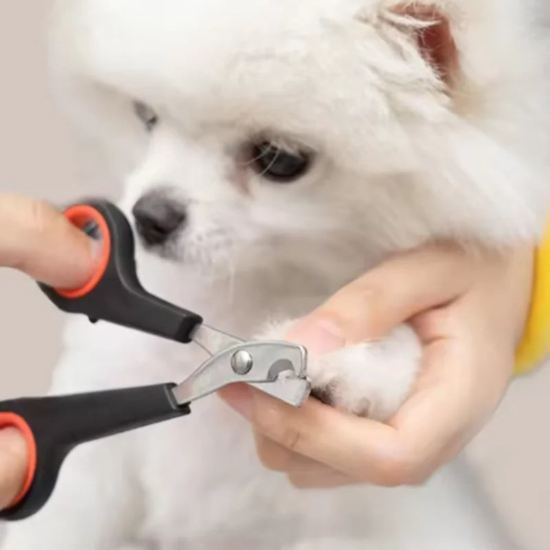 Pet Nail Dog Nail Clippers Scissors Puppy Dogs Cats Care Nails Claws Animal Trimmer Supplies Products Home For Stuff Garden