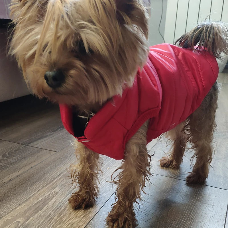 Dog Jackets Winter French Bulldog Small Dog Coat Clothes For York Coat For Little Dog Hoodie For Chihuahua Pet Products Leash