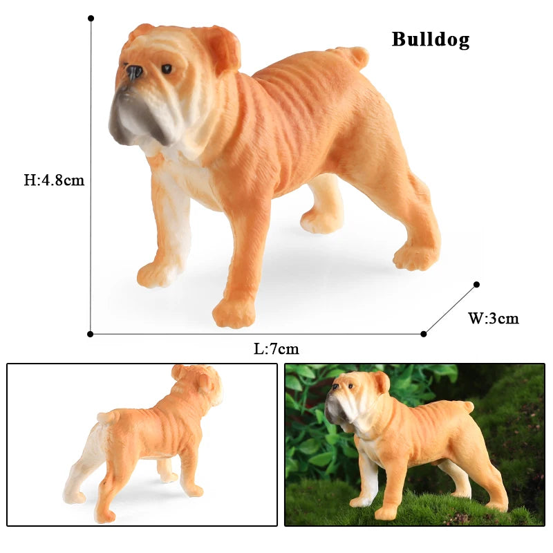Oenux Dog Animals Model Bulldog Corgi Shiba Inu Husky Pug Schnauzer Chihuahua Puppy Figurines PVC Cute Collection Toy Kid Gift