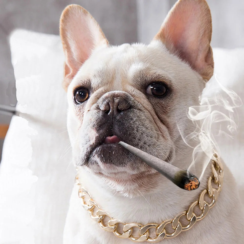 Luxury Dog Collar Gold Dog Chain Choker For Pitbull Bulldog Teddy French Bulldog Metal Collar Pet Necklace Pets Jewelry Products