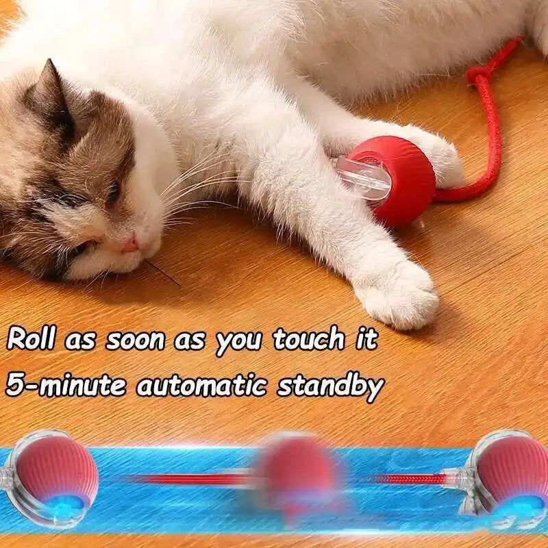 Smart Dog Interactive Ball Toys Automatic Rolling Ball Rechargeable Electric Pet Interactive Toy Dog Cat Training Imitate Mouse