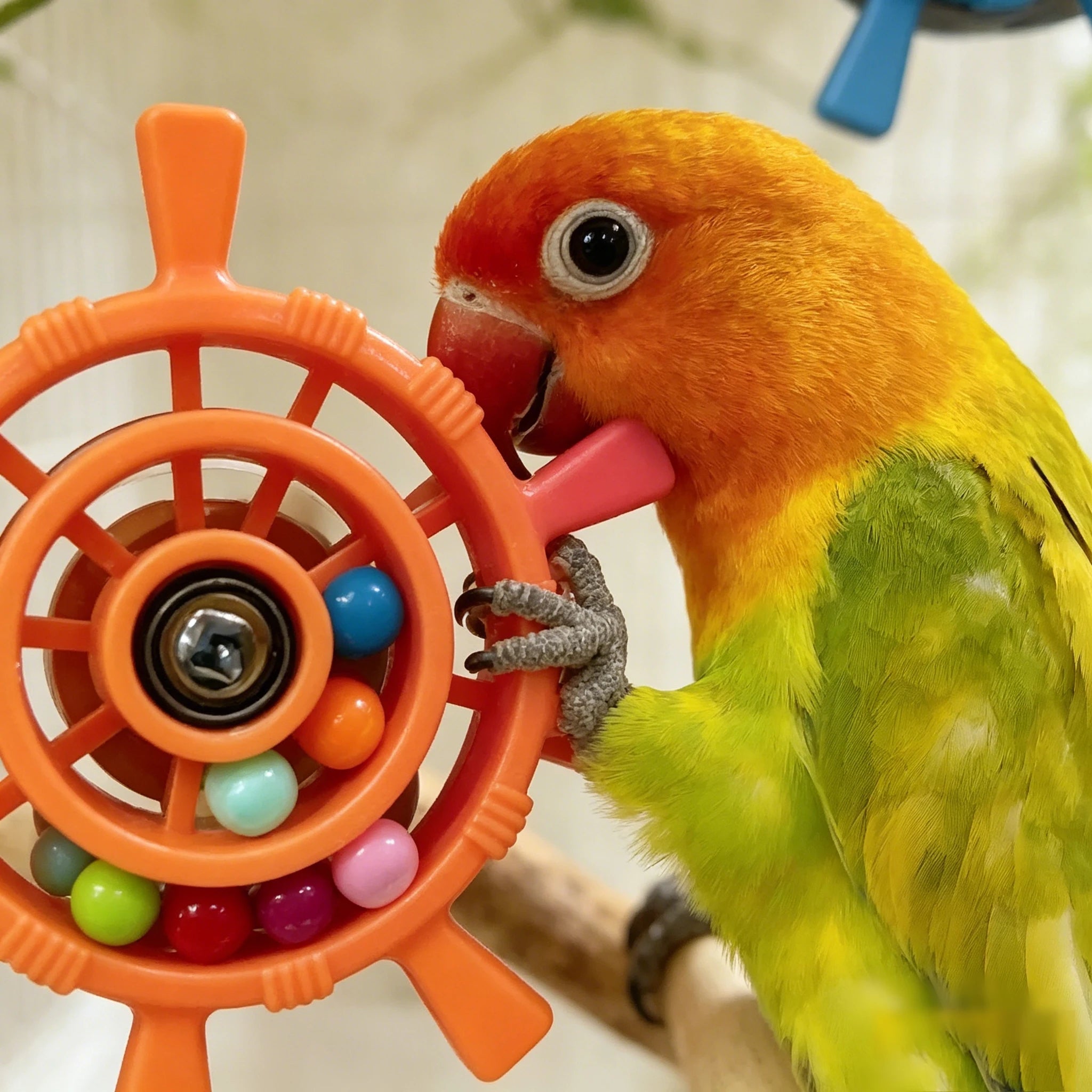 Rudder Shaped Parrot Spinner Rattle Bite Resistant Colorful Beads Bird Cage Plastic Interactive Spinning Wheel Small Birds Toy