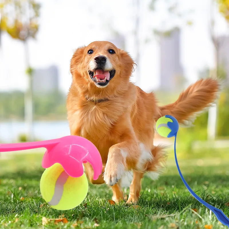 Dog Ball Launcher Toy Manual Tennis Ball Thrower for Dogs Outdoor Interactive Fetch Training Tool Pet Accessories Long Handle