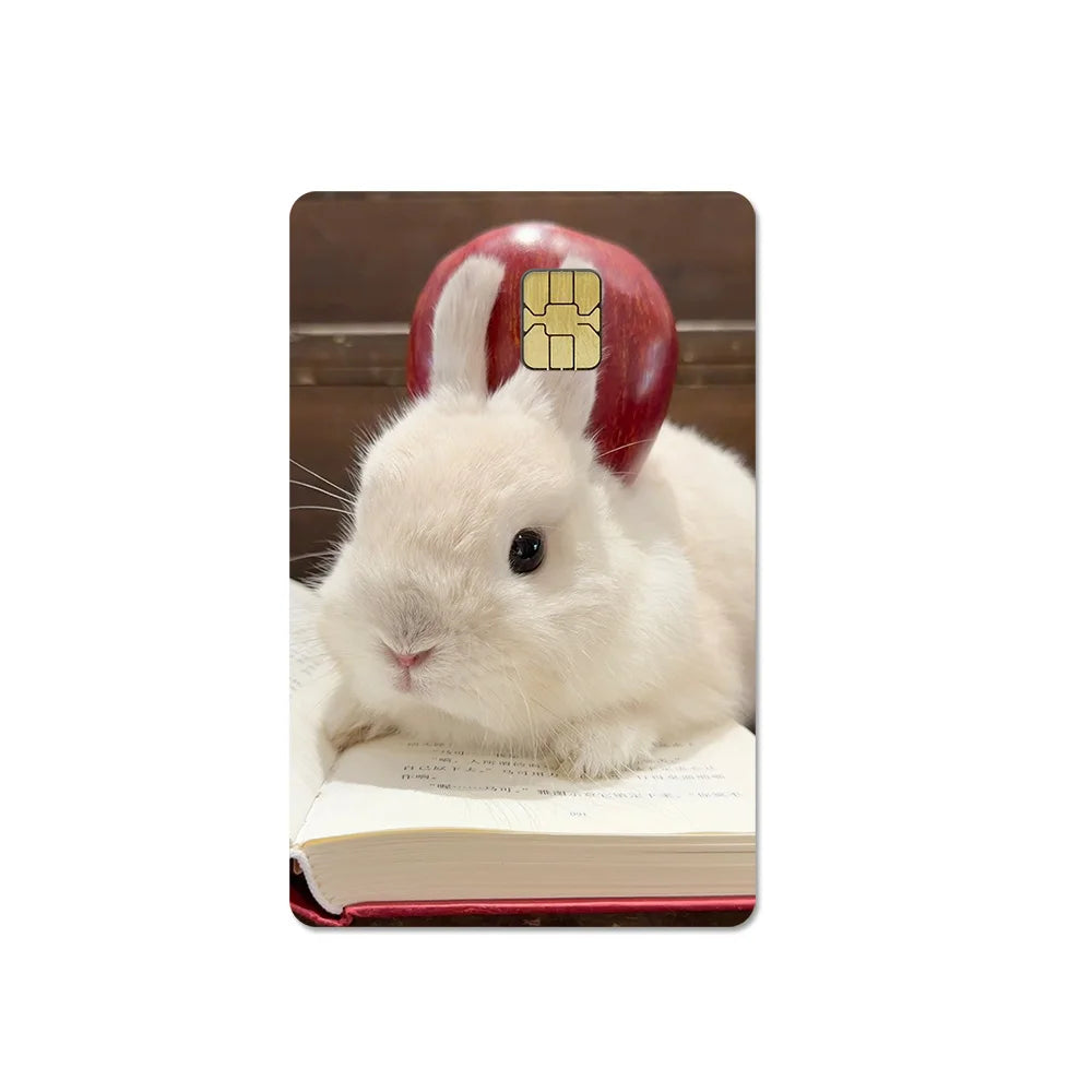 Cute Pet Puppy Kitten Lamb Credit Debit Card Sticker Bread Dog Bus Pass DIY Waterproof Small Chip Film Sticker Decoration Gift