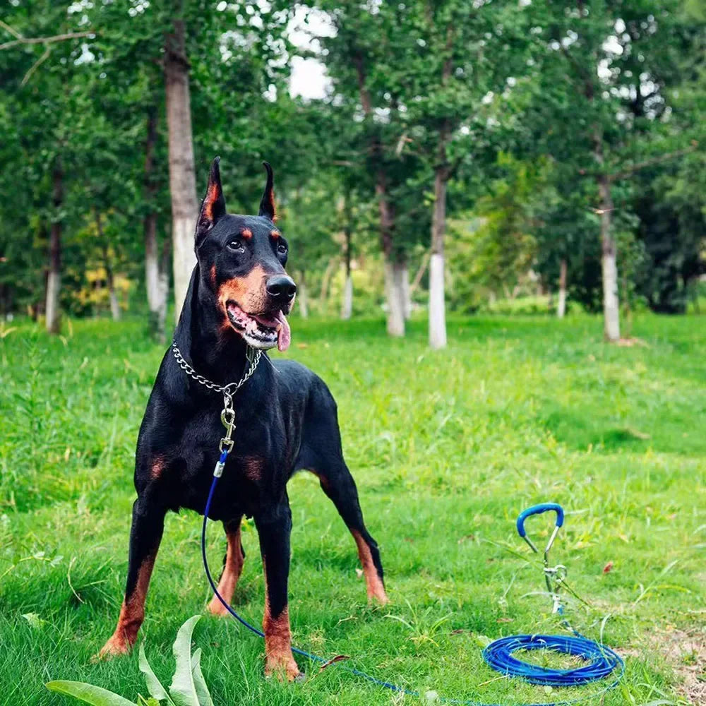 Stainless Steel Slip Chain Collar for Dog Adjustable Pet Accessories Dog Collar for Small Medium Large Dog Collar Dog Harness