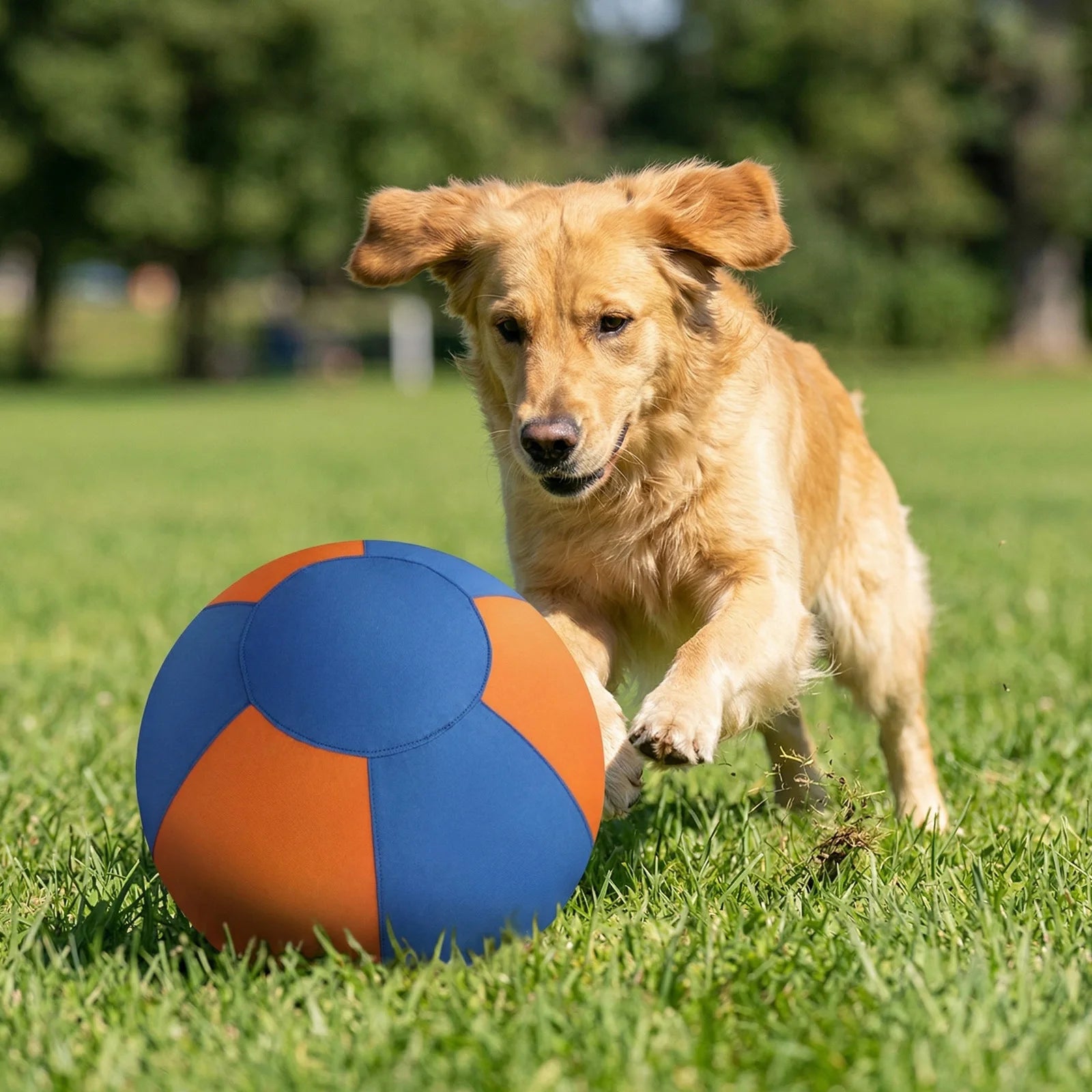 Herding Ball for Dogs with Protective Cover & Pump Dog Training Toy To Keep Them Busy Outdoor Training & Backyard Play