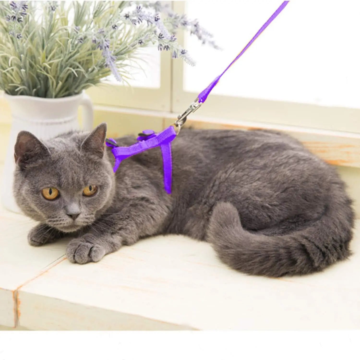 Kitten Cat Harness Leash Set Walking Escape Proof Adjustable Nylon Halter Collar Harness for Cats Puppy Rabbit Pet Accessories