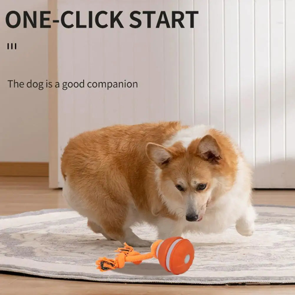 Interactive Dog Toy Ball with Rope Electronic Motion Activated Rolling Ball for Indoor Cat Dog Play Toys for Puppy Training Ball