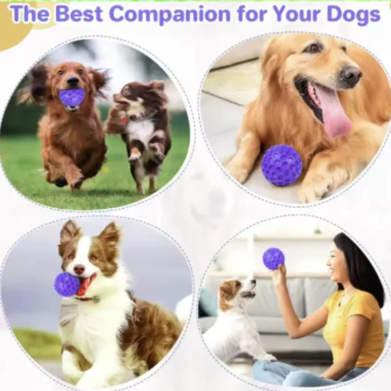 New Dog Toys Bite Resistant Interactive Throwing Sound Honeycomb Balls Natural Rubber Teething Clean Teeth Toys Pet Products