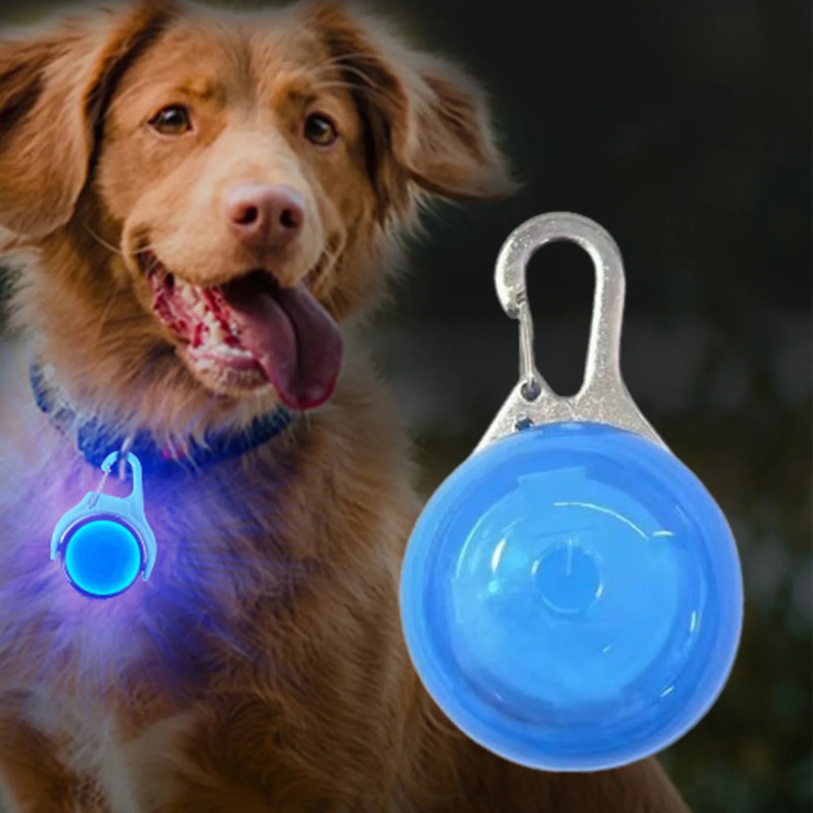 LED Glow Dog Collar Pendant Light Up Pet Accessories Night Safety Walking for Cat Dog Small Medium Large