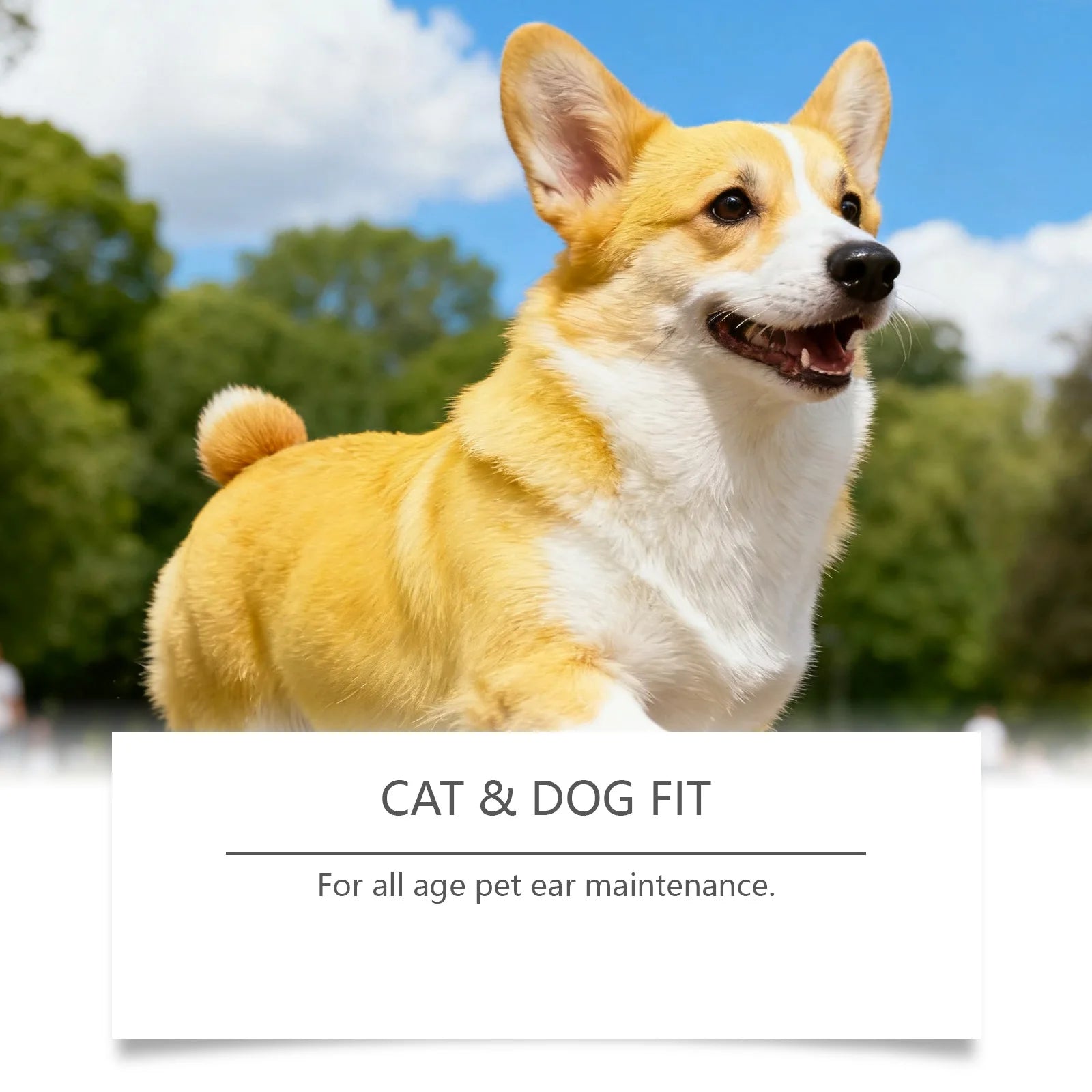 Pet Ear Wash for Cats and Dogs Ear Cleaning Ear Mite Ear Drops Softens Ear Wax Soothes Ears Refreshing Pet Cleaning Products