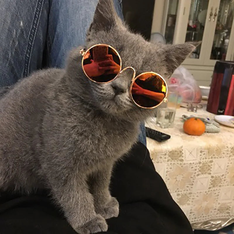 Cat Sunglasses Lovely Vintage Round Reflection Eye Wear Glasses for Small Dog Cat Pet Photos Pet Products Props Accessories