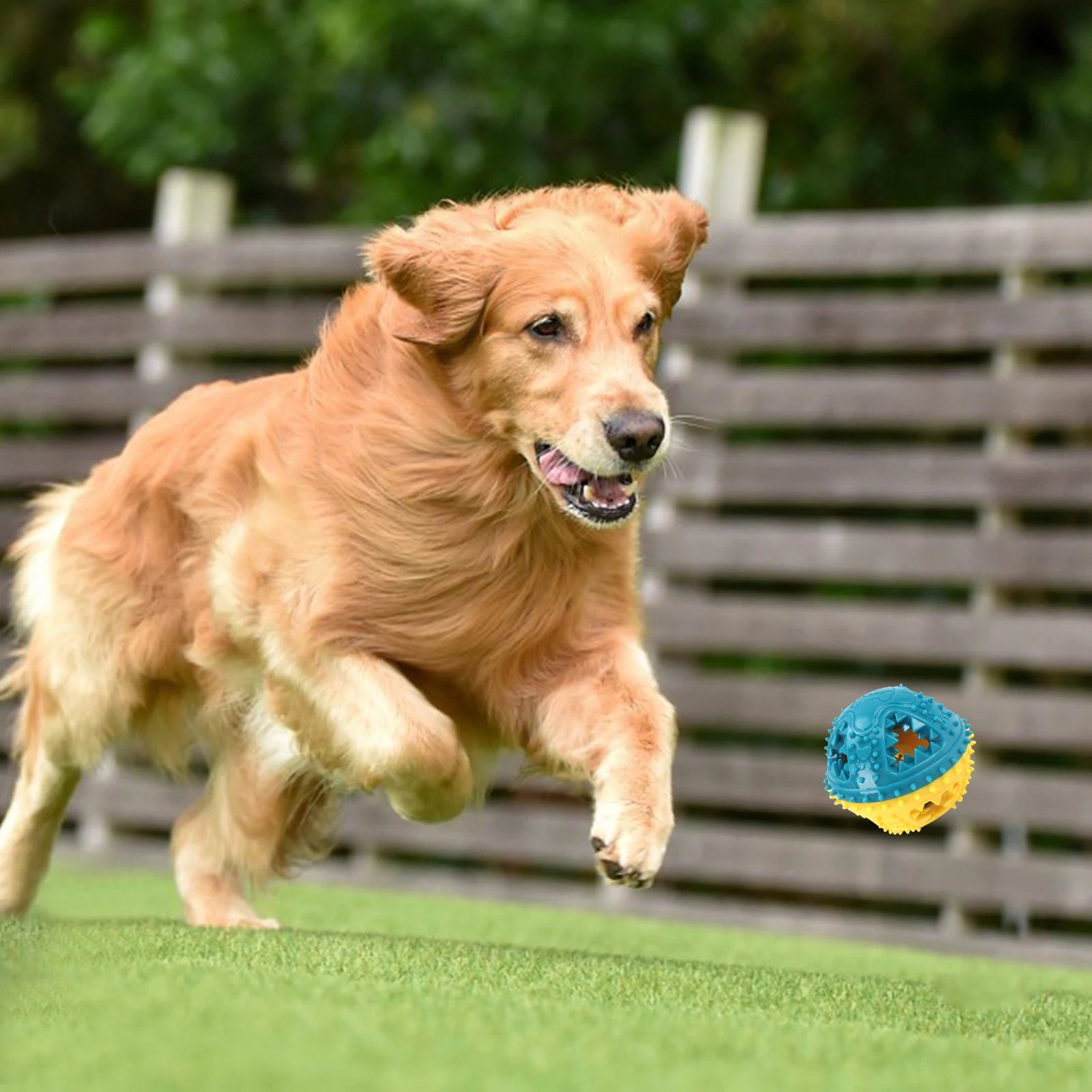 Dog Chew Toys Leaking Food Balls Grinding Teeth Sound Ball Toys Anti Bite Interactive Training Cleaning Teeth Toys Pet Products
